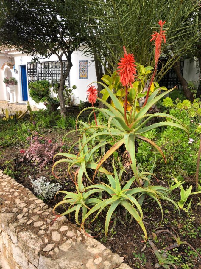 Villa Charming With Heated Pool Near Sandy Beach, Hiking, Golf And Wineries Praia Da Luz