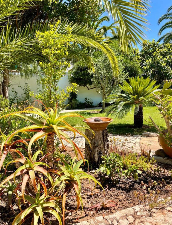 Charming With Heated Pool Near Sandy Beach, Hiking, Golf And Wineries Villa Praia Da Luz
