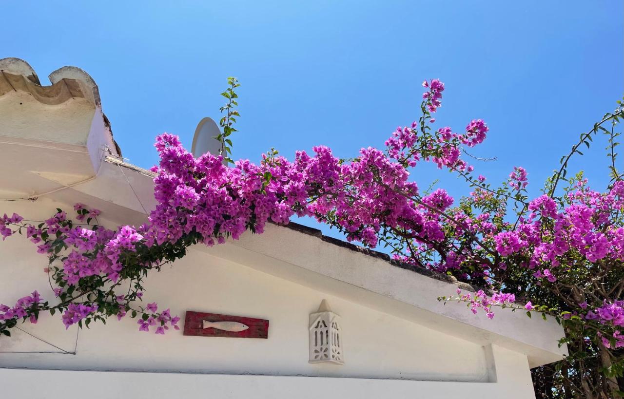 Charming With Heated Pool Near Sandy Beach, Hiking, Golf And Wineries Villa Praia Da Luz